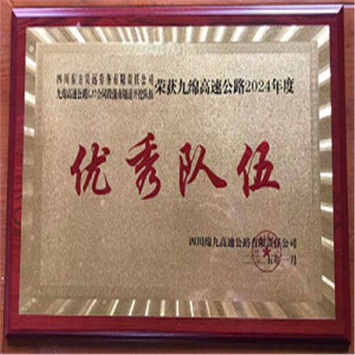 優(yōu)秀隊(duì)伍